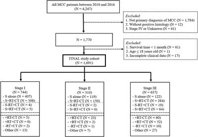 Prognostic Value of Radiotherapy and Chemotherapy in Stage I–III Merkel Cell Carcinoma